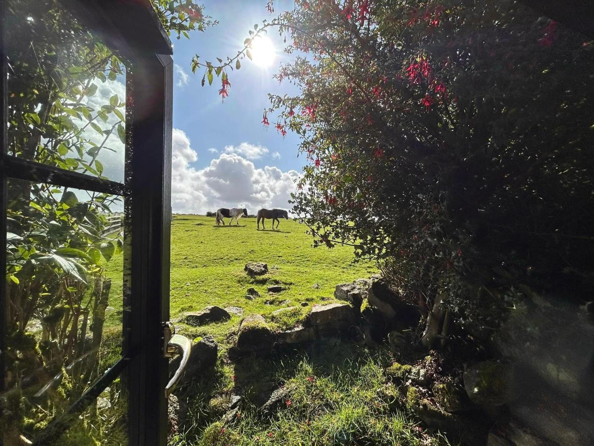 Hallagenna Cottages Bodmin Buitenkant foto